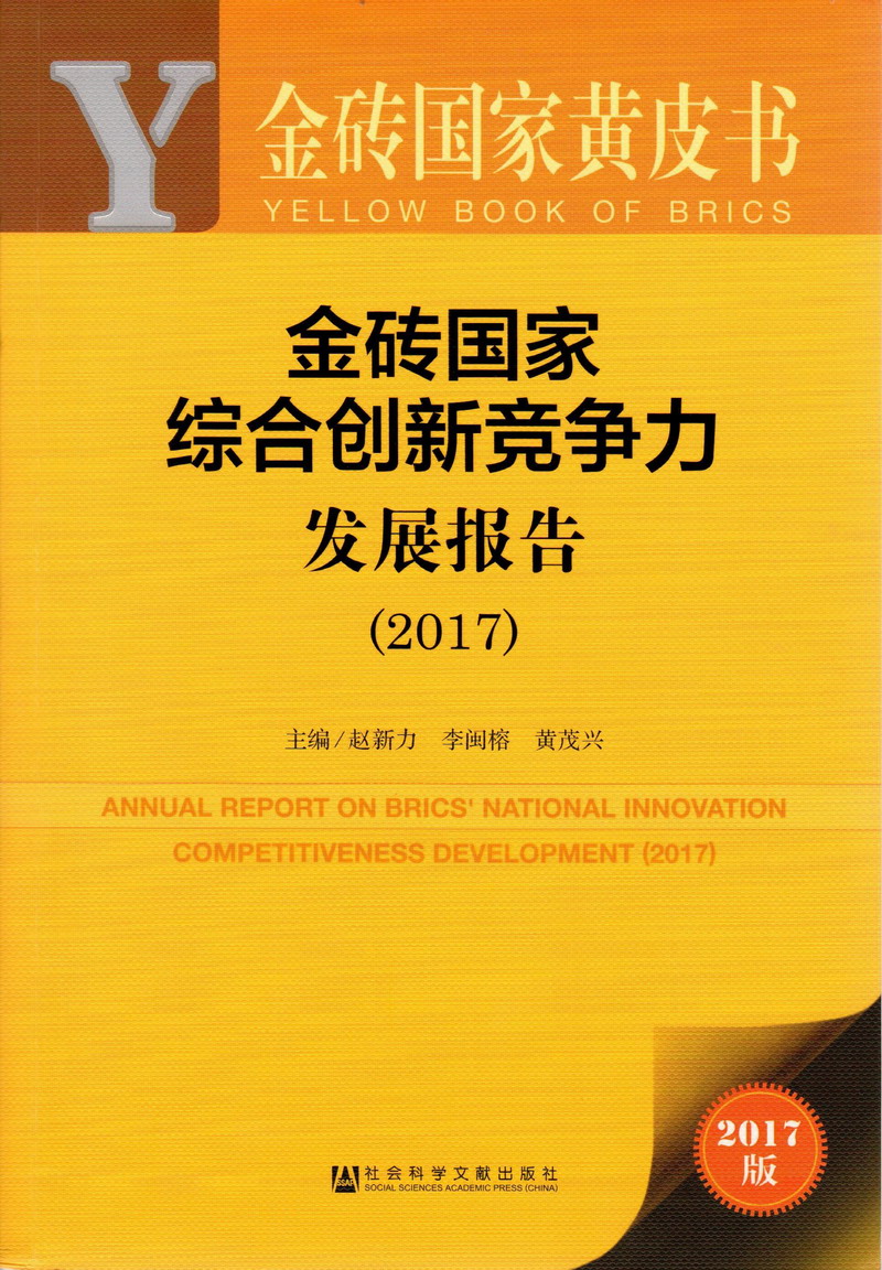 日本三级插大鸡巴金砖国家综合创新竞争力发展报告（2017）